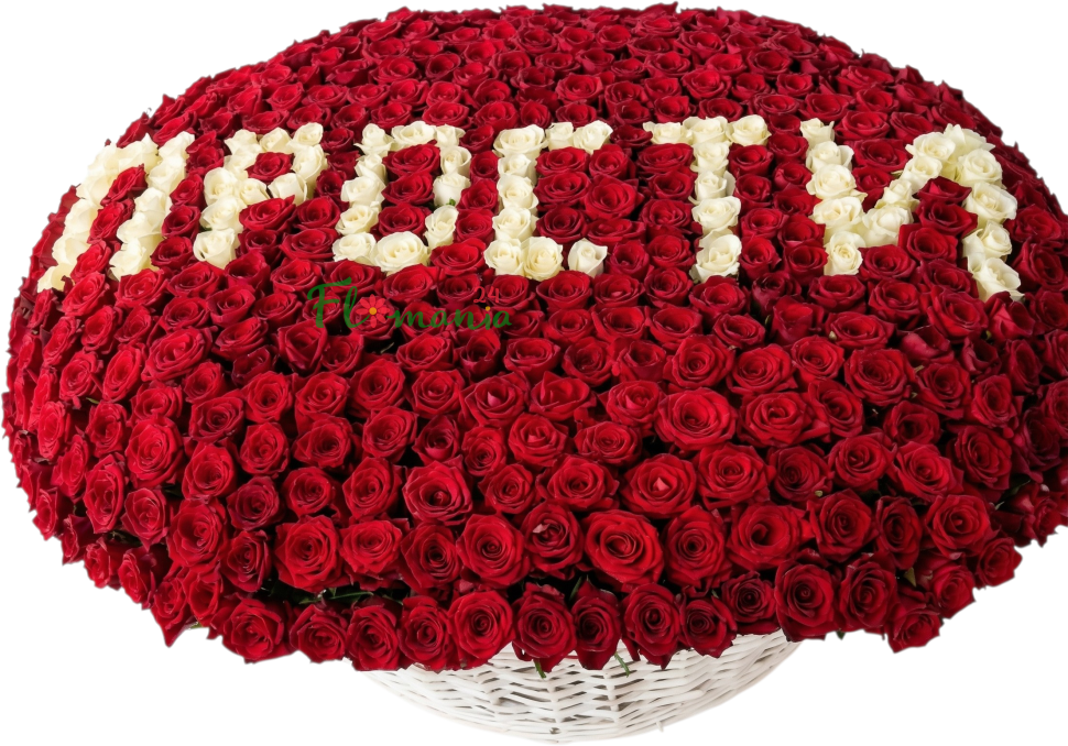 Композиция из 701 розы «Прости»